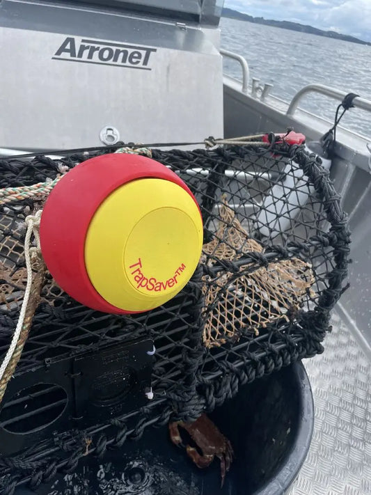 Tyveri og sabotasje av fiskeutstyr - kappet tau og tapte teiner som fører til spøkelsesfiske i havet