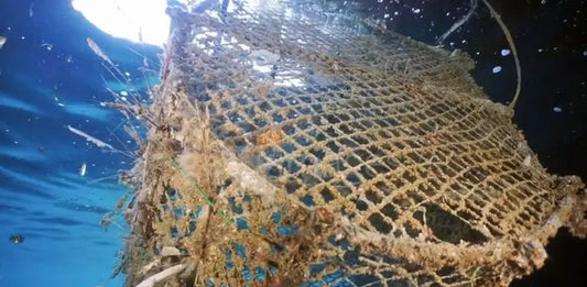 Tapte teiner på havbunnen som har blitt spøkelsesteiner og fortsetter å fange marine dyr uten kontroll