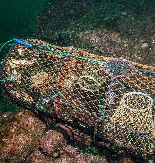 Tapte fiskeredskaper og spøkelsesteiner på havbunnen - globalt problem med 640 000 tonn tapt utstyr årlig