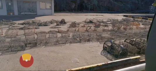 Spøkelsesfiske - tapte fiskeredskaper på havbunnen som fortsetter å fange dyr. 30 000 redskaper tapes årlig i Norge