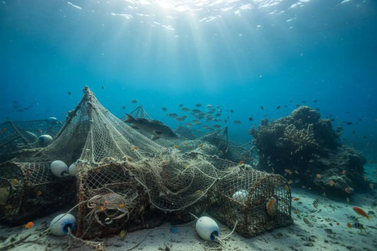 Forlatt fiskeutstyr på havbunnen – spøkelsesfiske truer marine økosystemer og dyreliv