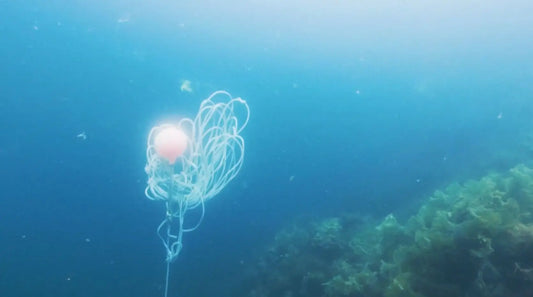 Tapte fisketeiner på havbunnen som forårsaker spøkelsesfiske i norske farvann