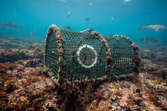 Nye krav til teiner fra 1. februar 2026 TrapSaver™ - Forebygging av Utstyrstap