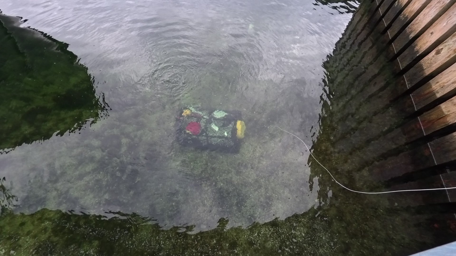 Testing av TrapFinder med råtnetråd som utløser – uten elektronikk.