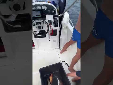 Oppsnurring av SnurreSniken med drill